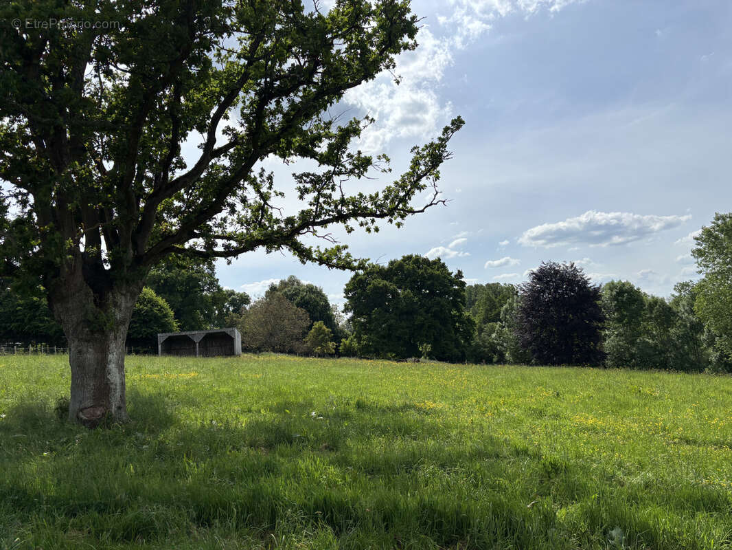 Maison à LE MELE-SUR-SARTHE