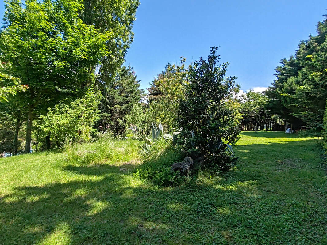 Terrain à SAINT-BAUZILE