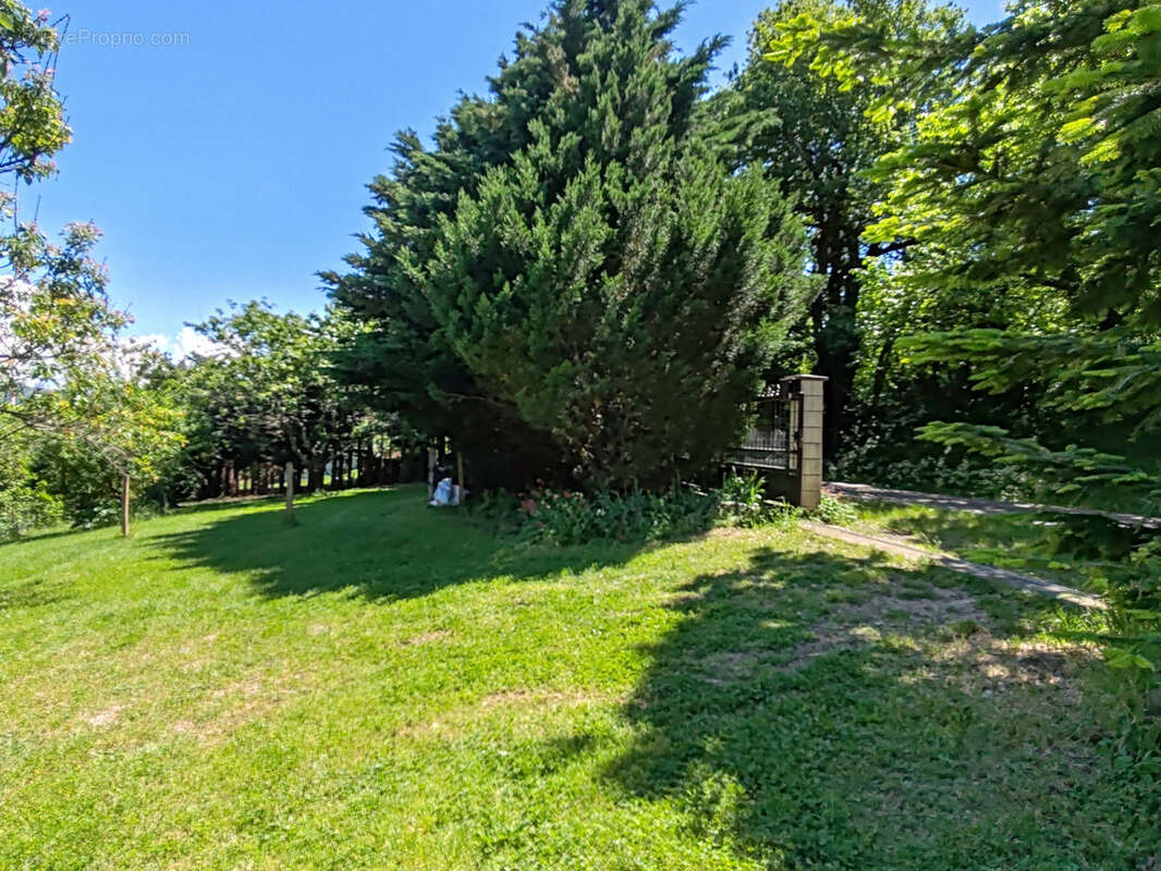 Terrain à SAINT-BAUZILE