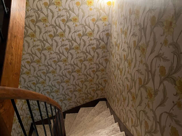 Maison à PEYRIAC-MINERVOIS