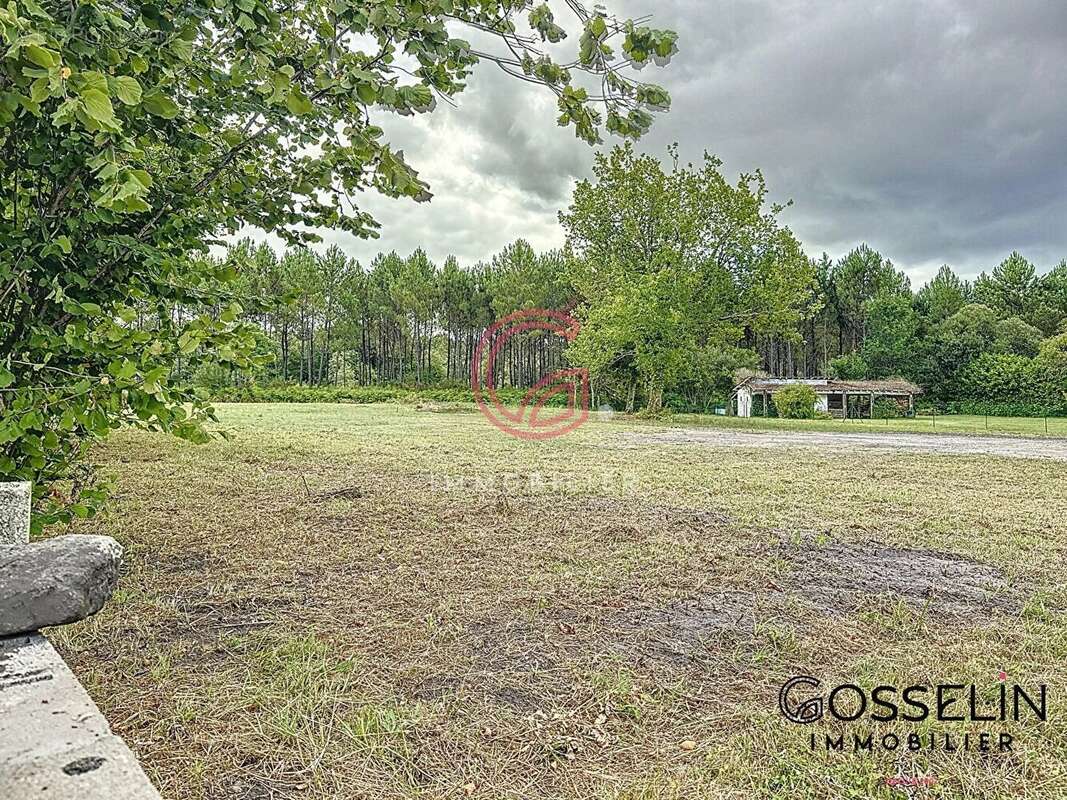 Terrain à PONTENX-LES-FORGES