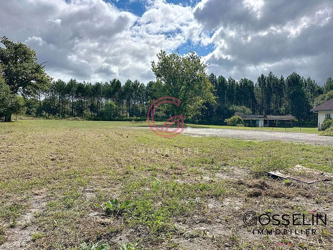 Terrain à PONTENX-LES-FORGES