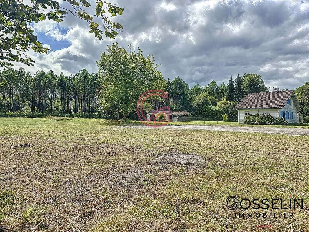 Terrain à PONTENX-LES-FORGES