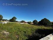 Photo 1 - Terrain à CASTRES