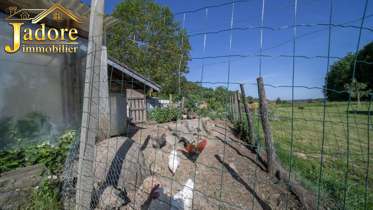 Maison à BAN-SUR-MEURTHE-CLEFCY