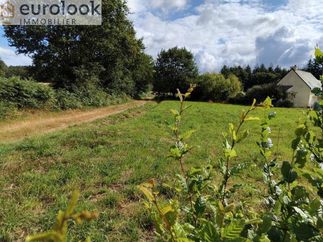 Terrain à SAINT-GUYOMARD