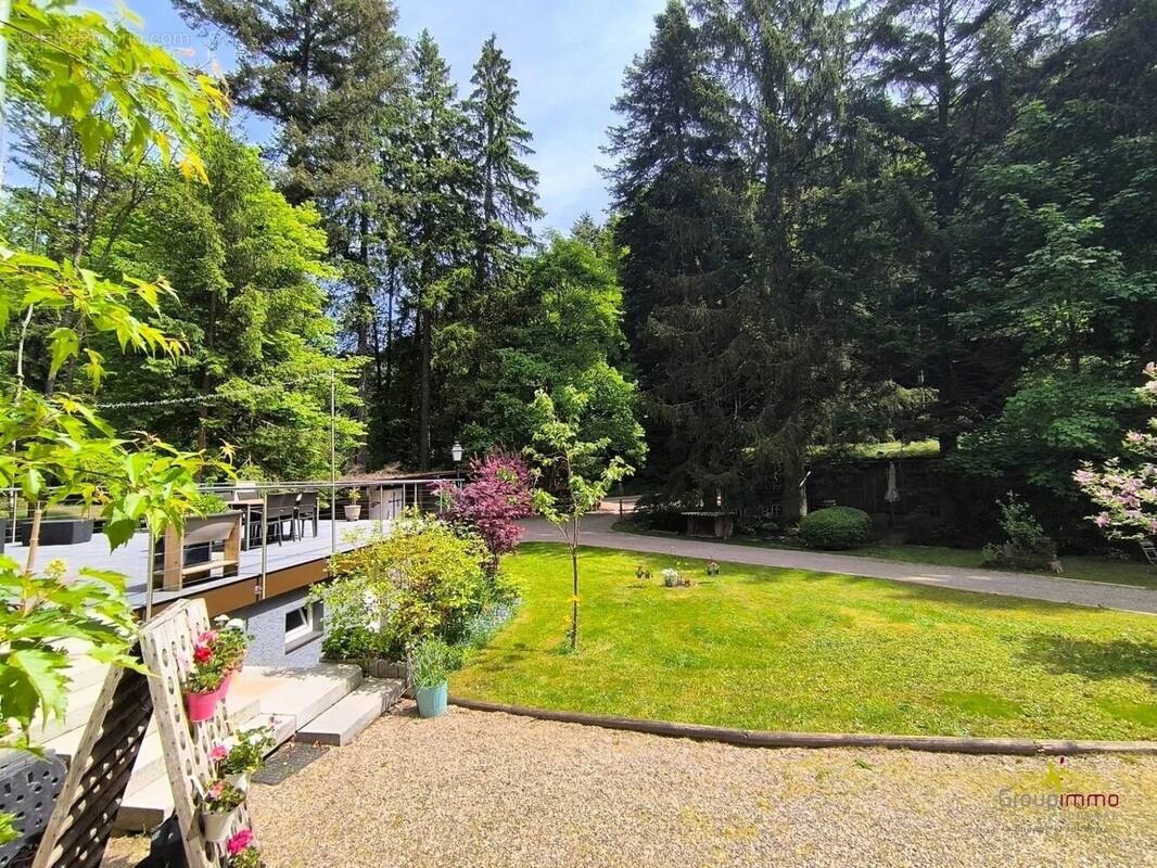 Maison à LE HOHWALD