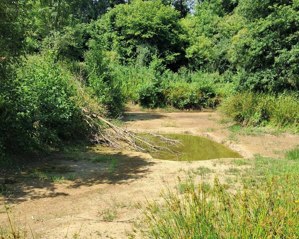 Terrain à CHATEAUBRIANT