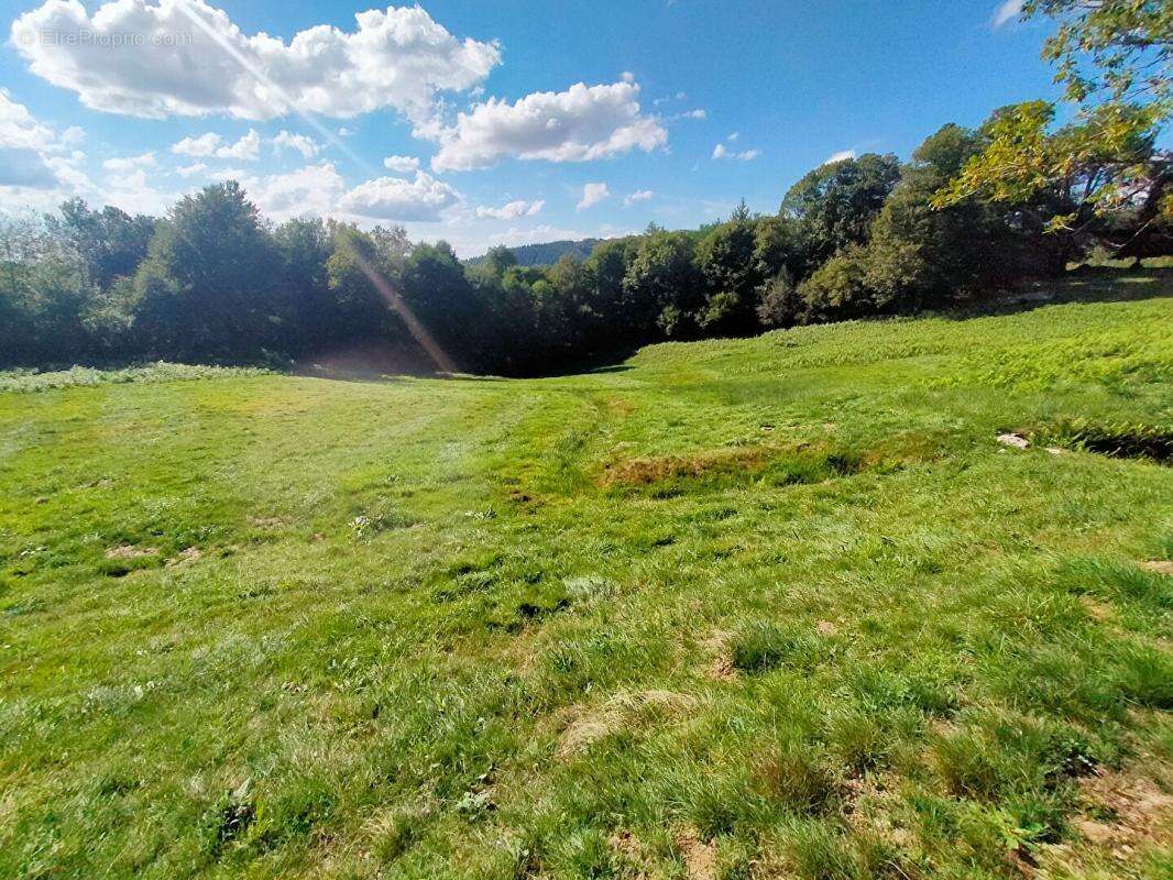 Maison à LE BRUGERON