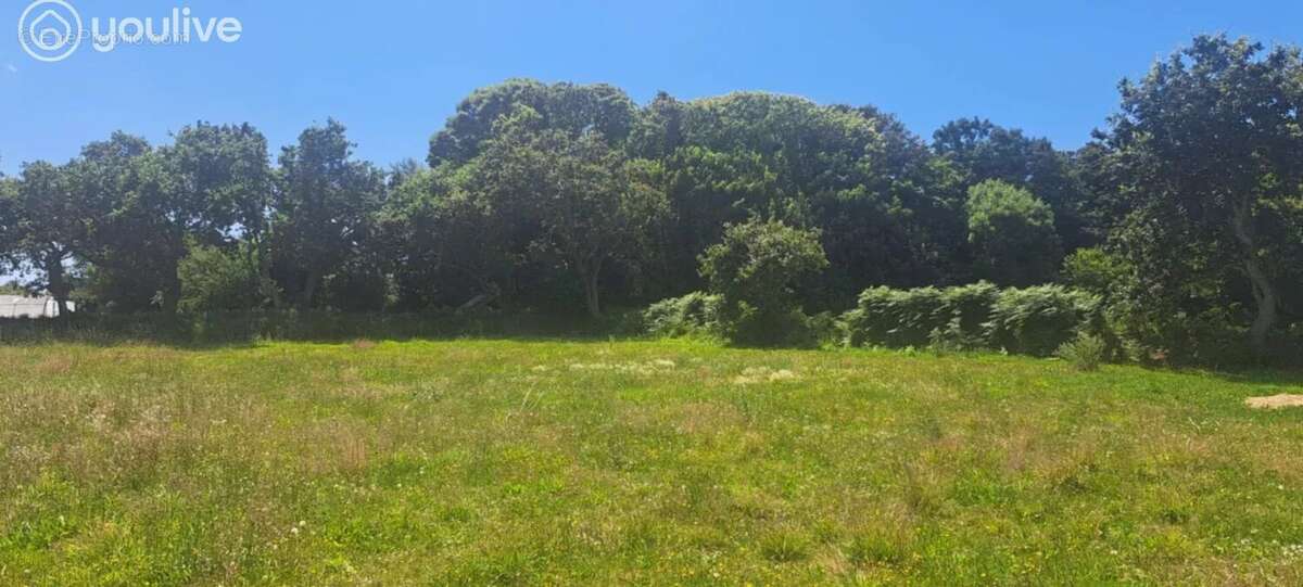 Terrain à LE CONQUET