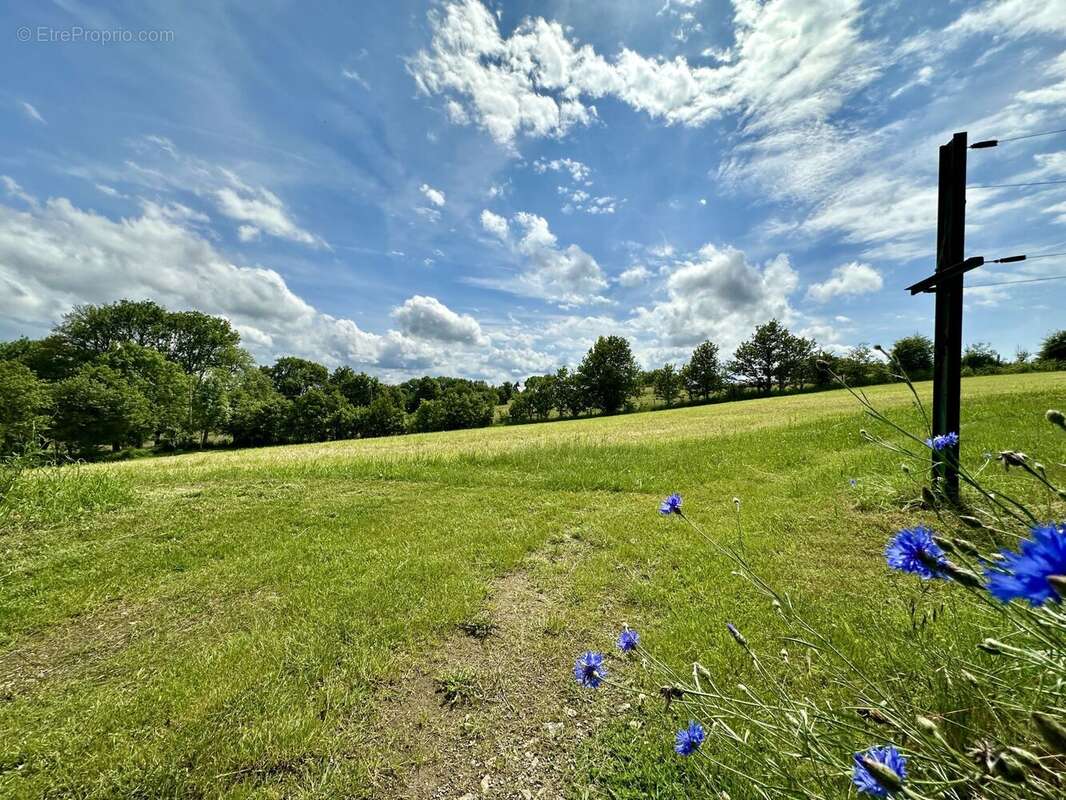 Maison à SAINT-GERVAIS-D&#039;AUVERGNE