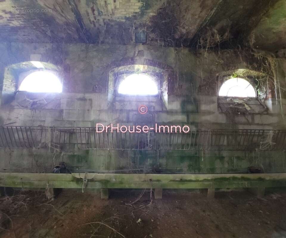 Maison à LOUVIGNE-DU-DESERT