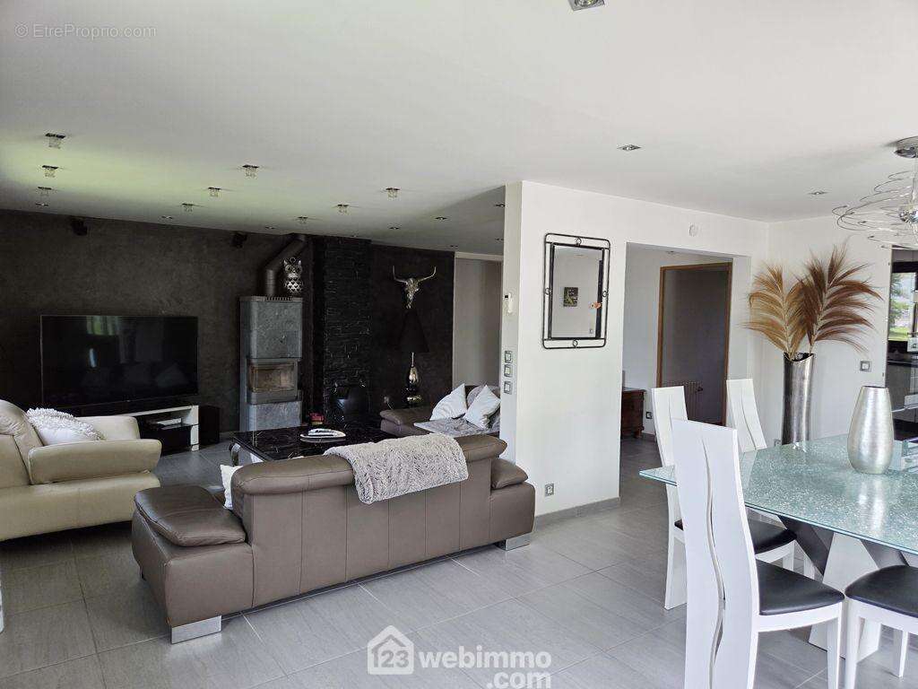 Au premier étage on retrouve un grand salon avec un poêle à bois et une climatisation réversible, - Maison à ALBERTVILLE