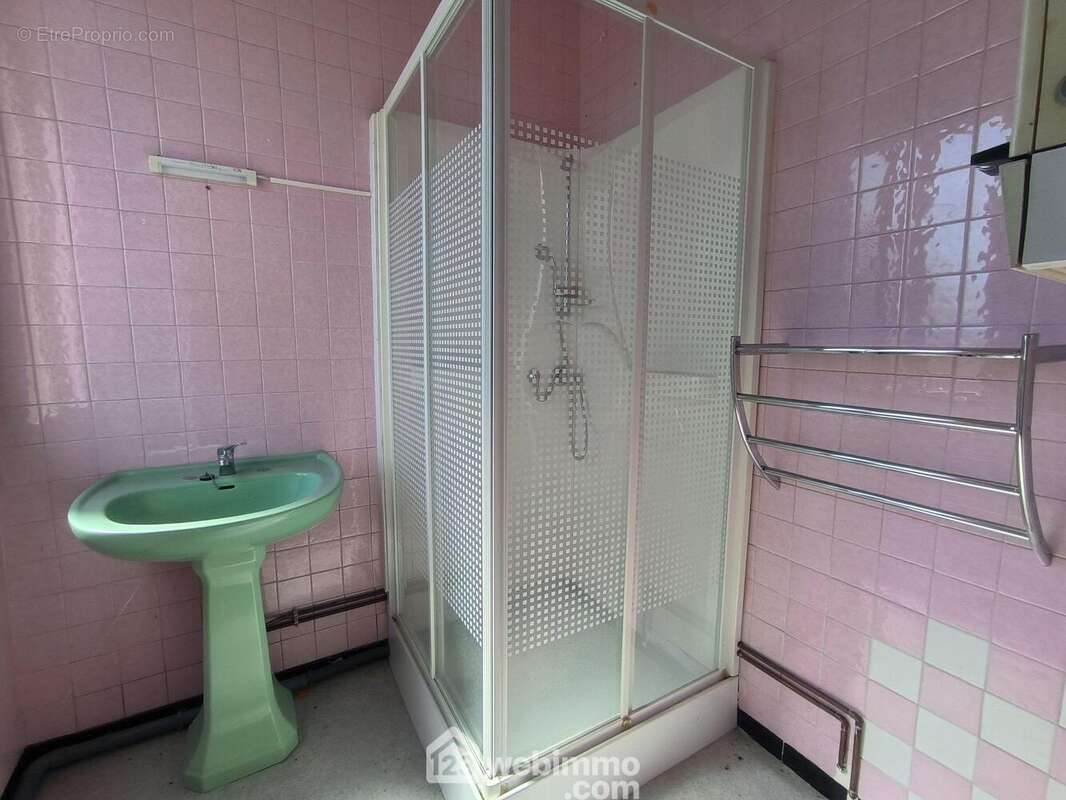 Une salle d&#039;eau avec douche et lavabo - Maison à VAILLY-SUR-AISNE