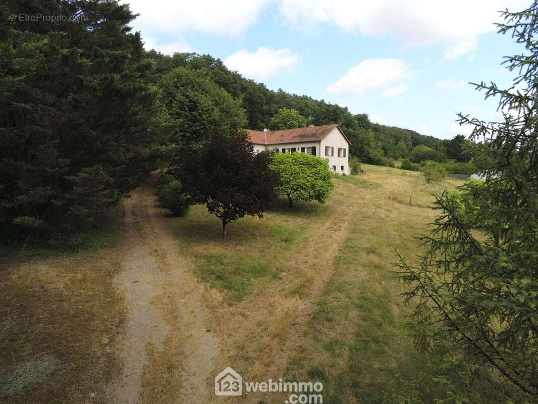 Deux allées mènent à chaque niveau, - Maison à VAUX-SUR-VIENNE