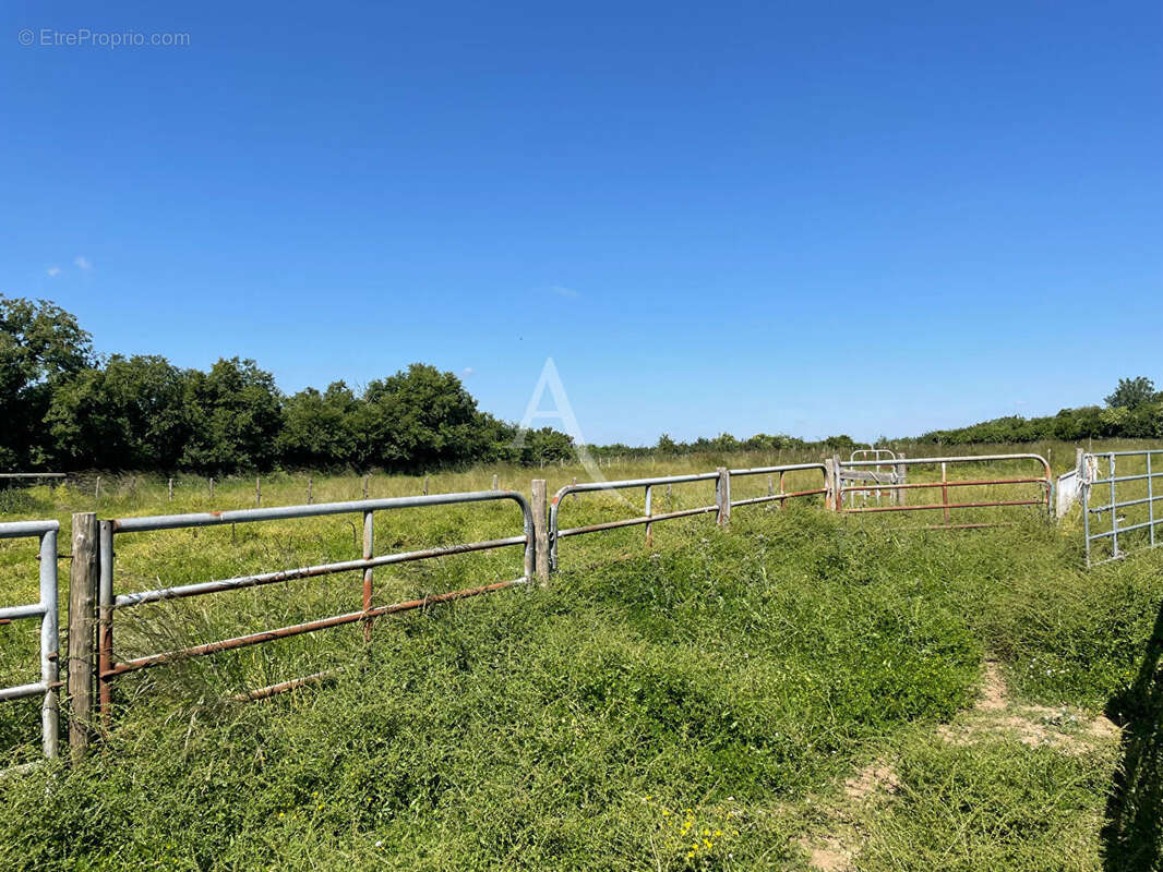 Maison à CHAILLE-LES-MARAIS