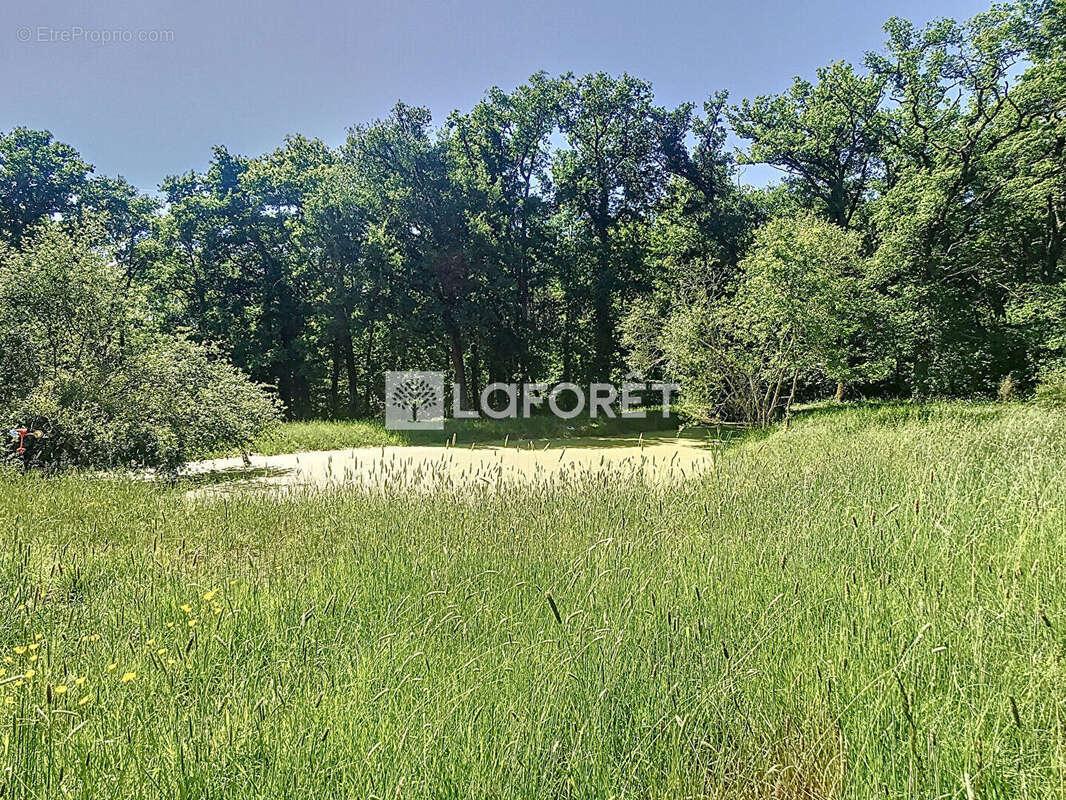 Maison à COUR-CHEVERNY