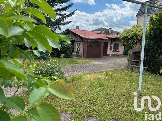 Photo 5 - Maison à KINGERSHEIM