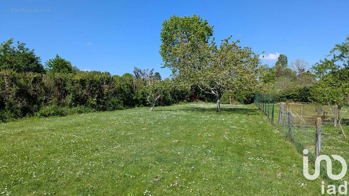 Photo 5 - Maison à JONZAC