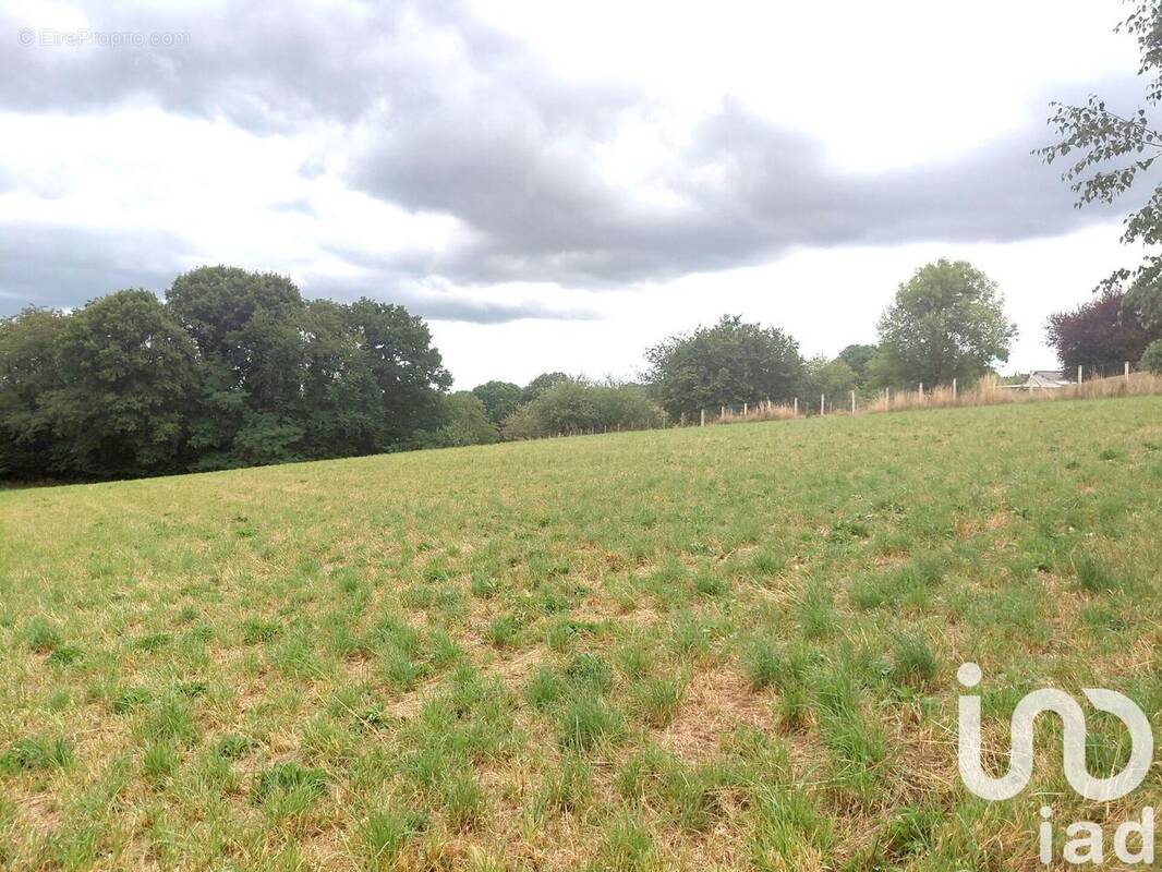 Photo 1 - Terrain à ROYERES