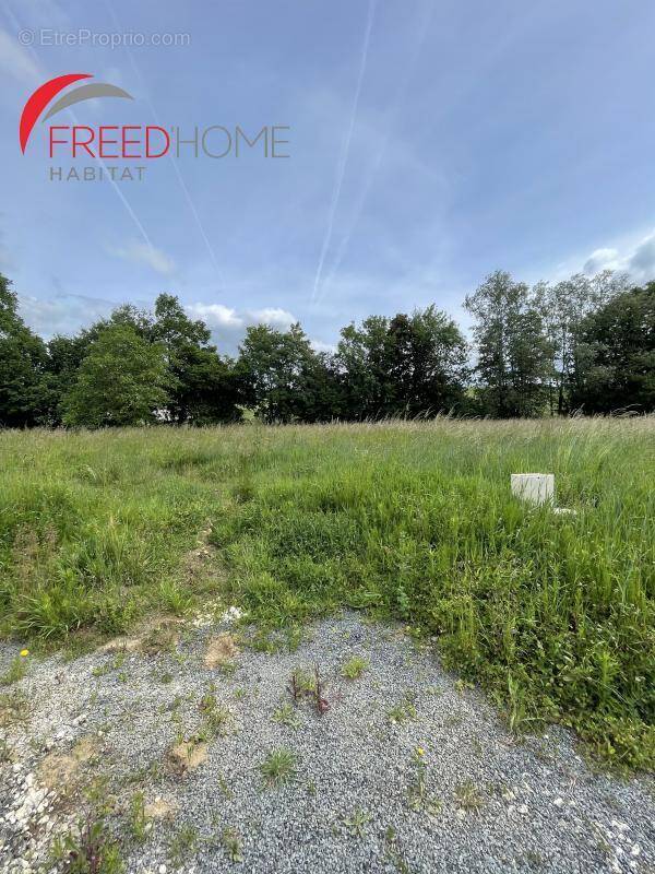 Terrain à BOURG