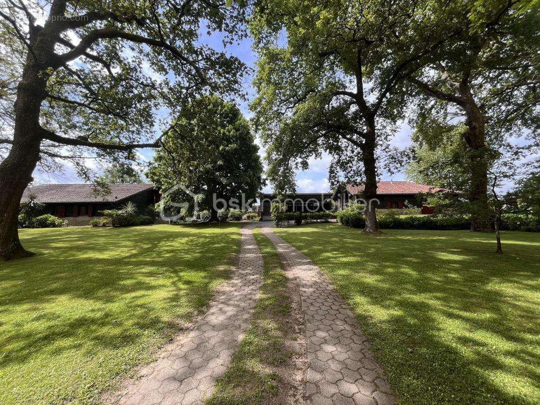 Maison à SAINT-VINCENT-DE-TYROSSE