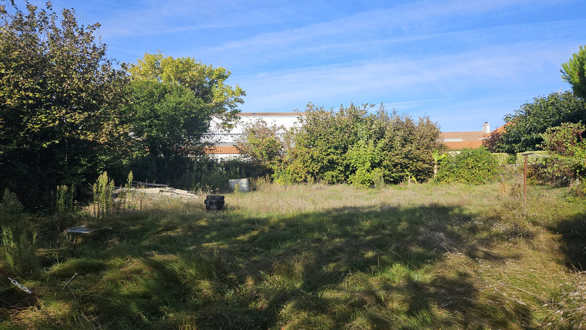 Terrain à NOTRE-DAME-DE-MONTS
