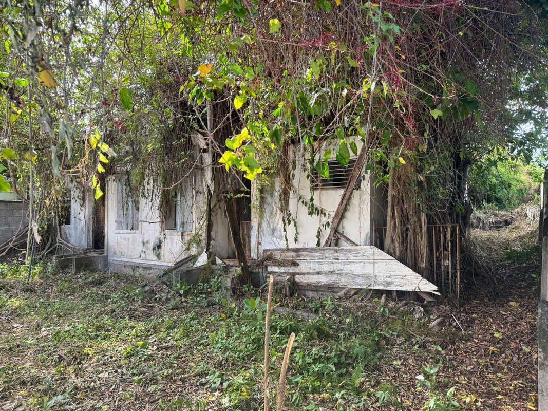 Terrain à BASSE-TERRE