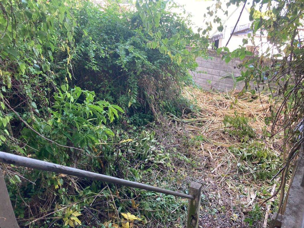 Terrain à BASSE-TERRE