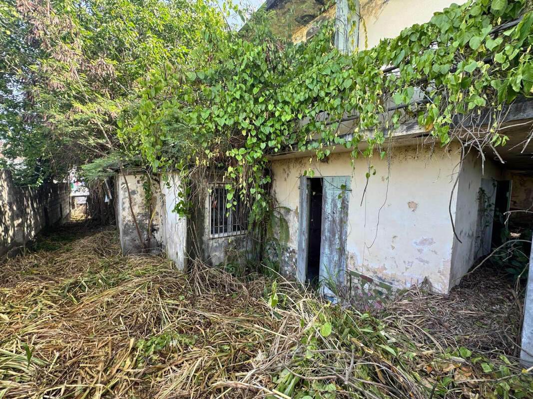 Terrain à BASSE-TERRE