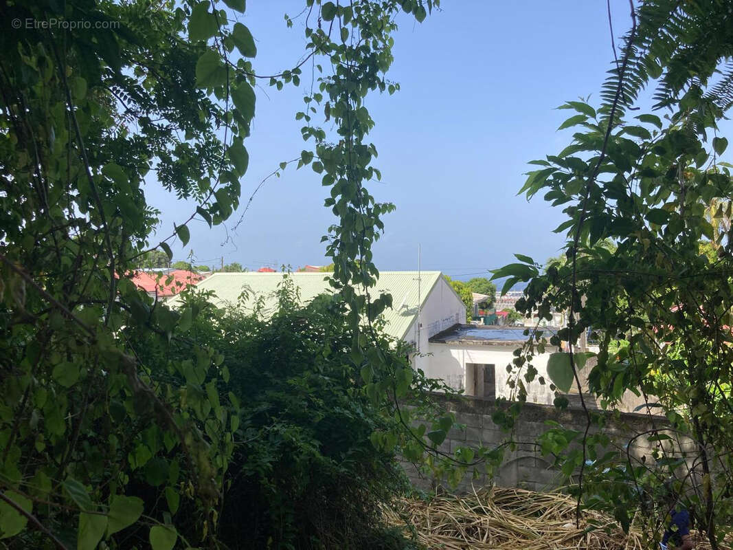 Terrain à BASSE-TERRE