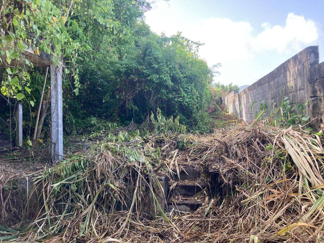 Terrain à BASSE-TERRE