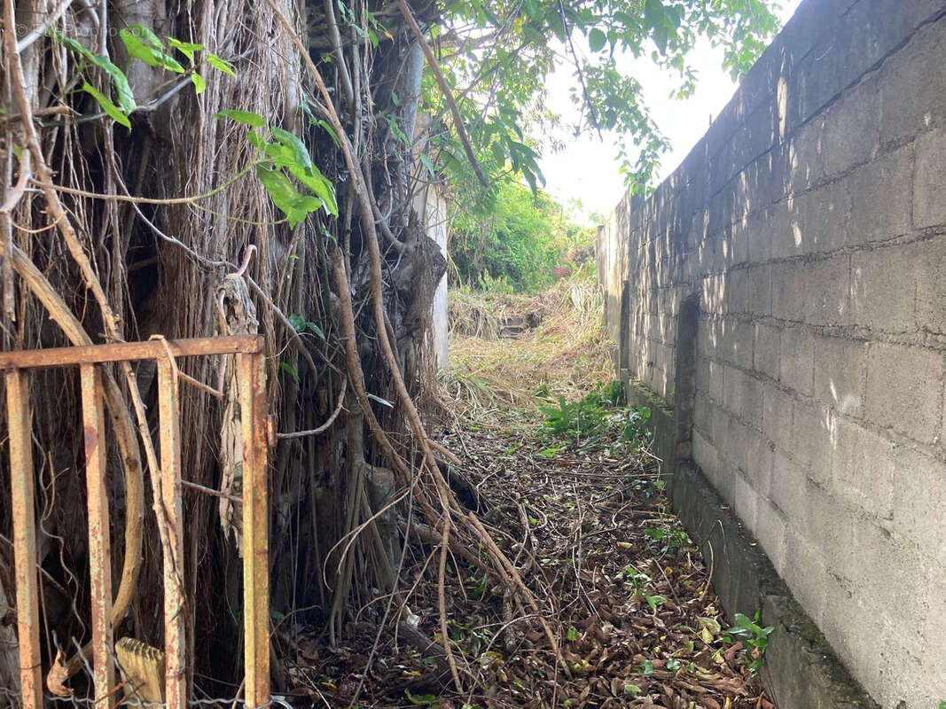 Terrain à BASSE-TERRE