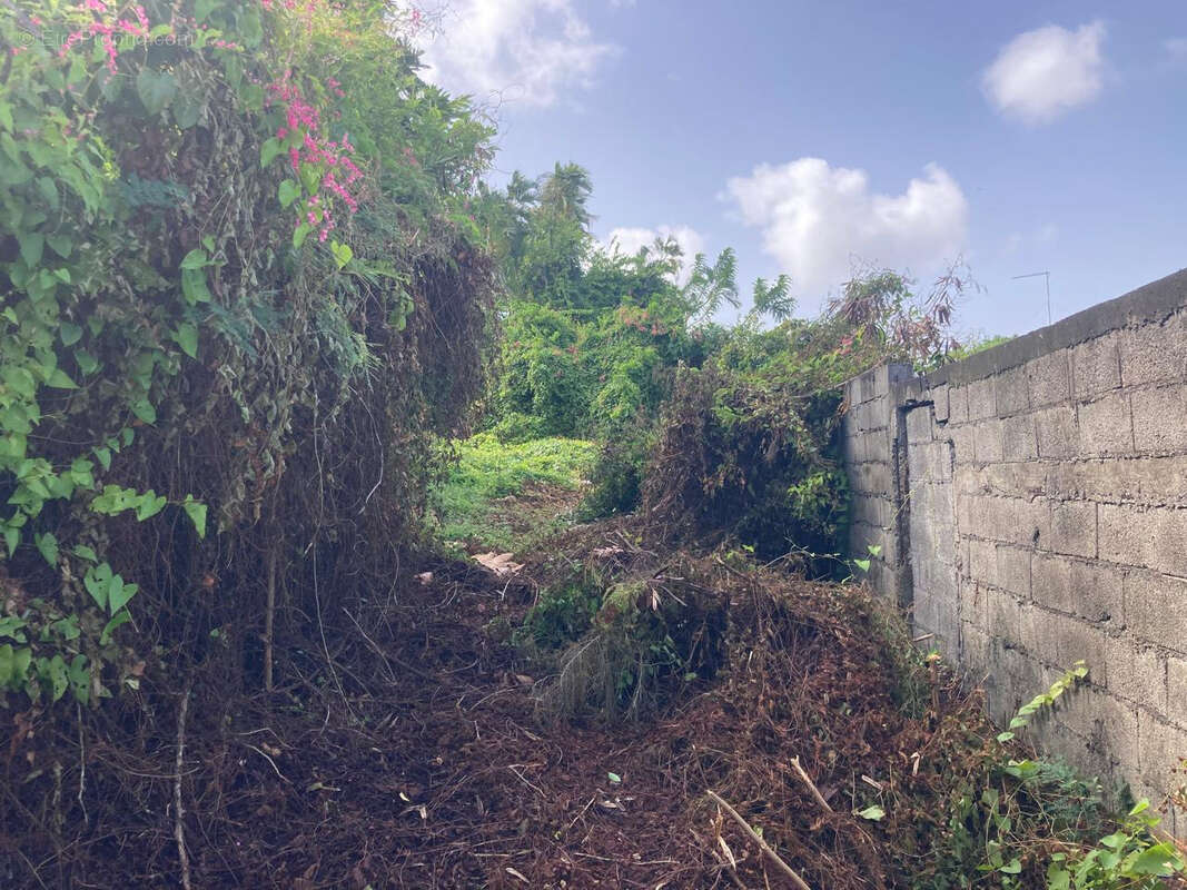 Terrain à BASSE-TERRE