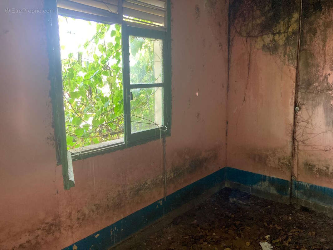 Terrain à BASSE-TERRE