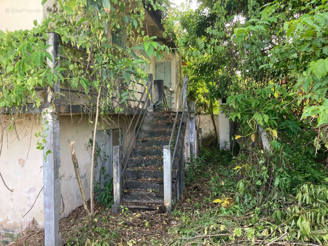 Terrain à BASSE-TERRE