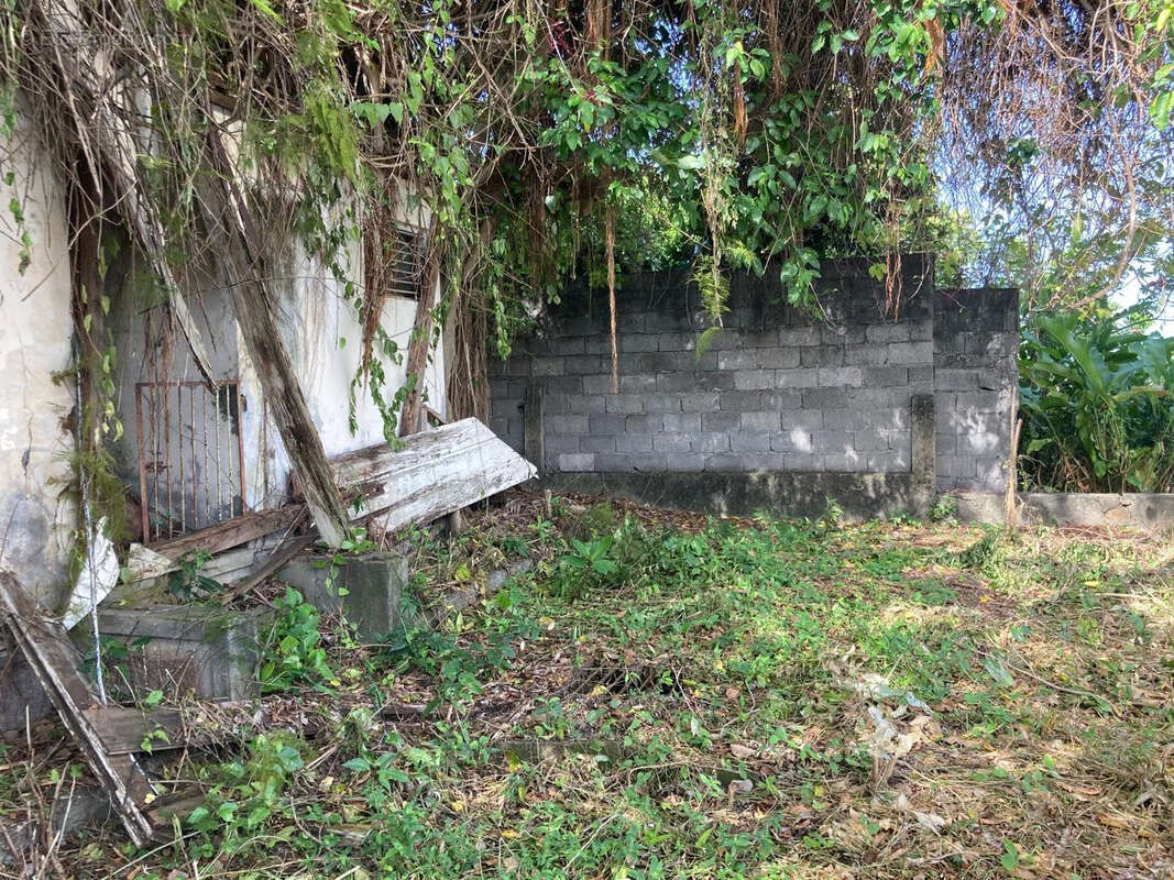 Terrain à BASSE-TERRE