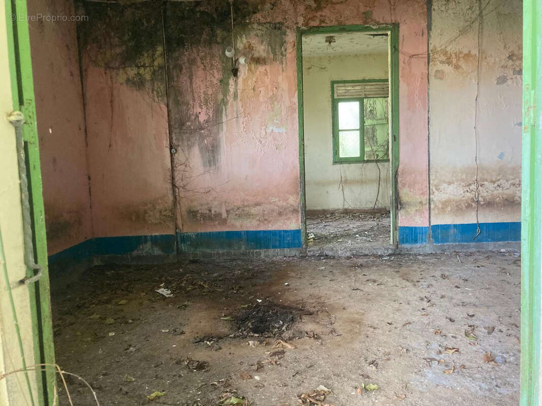 Terrain à BASSE-TERRE