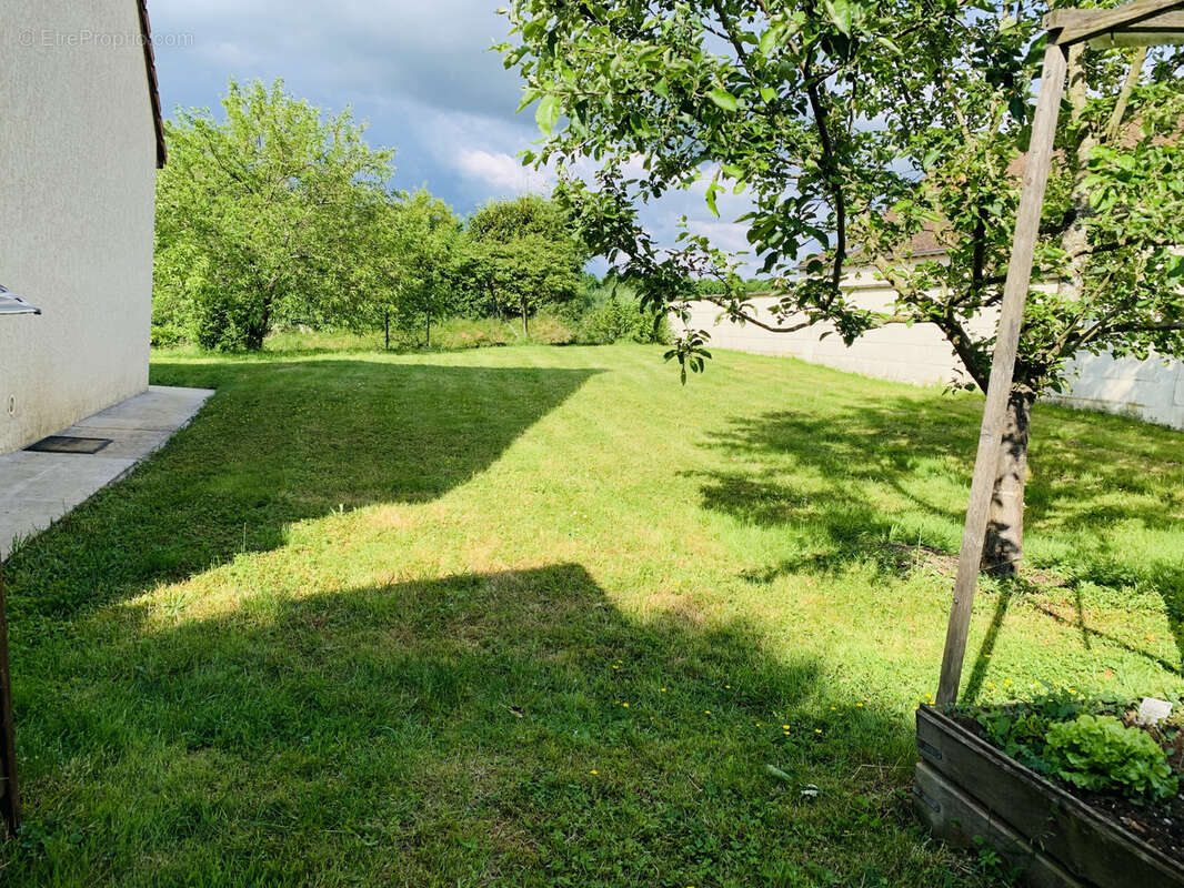 Maison à SAVIGNY-SUR-CLAIRIS