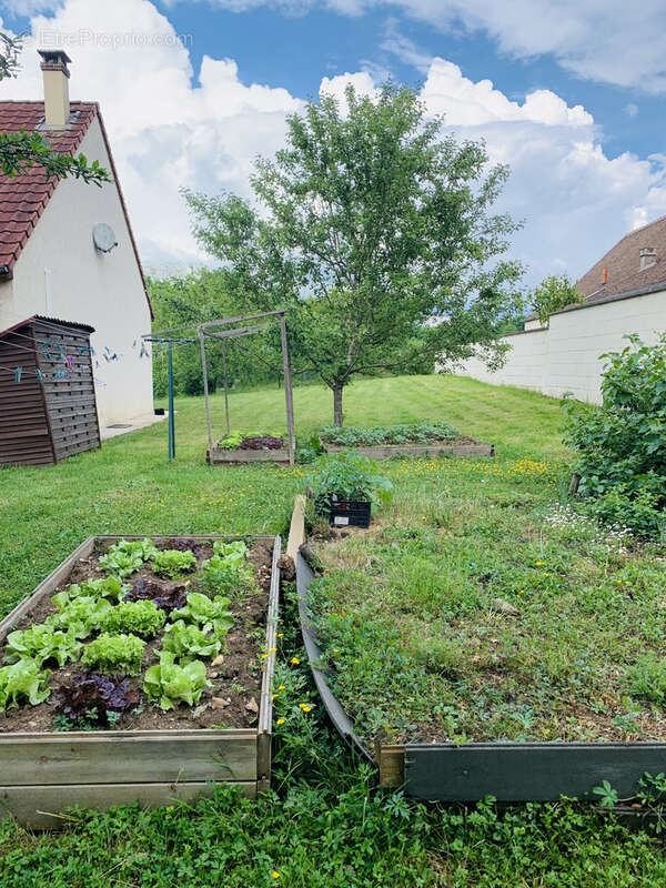 Maison à SAVIGNY-SUR-CLAIRIS