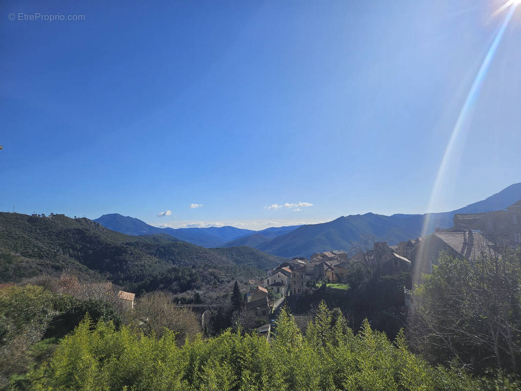 Appartement à VENACO