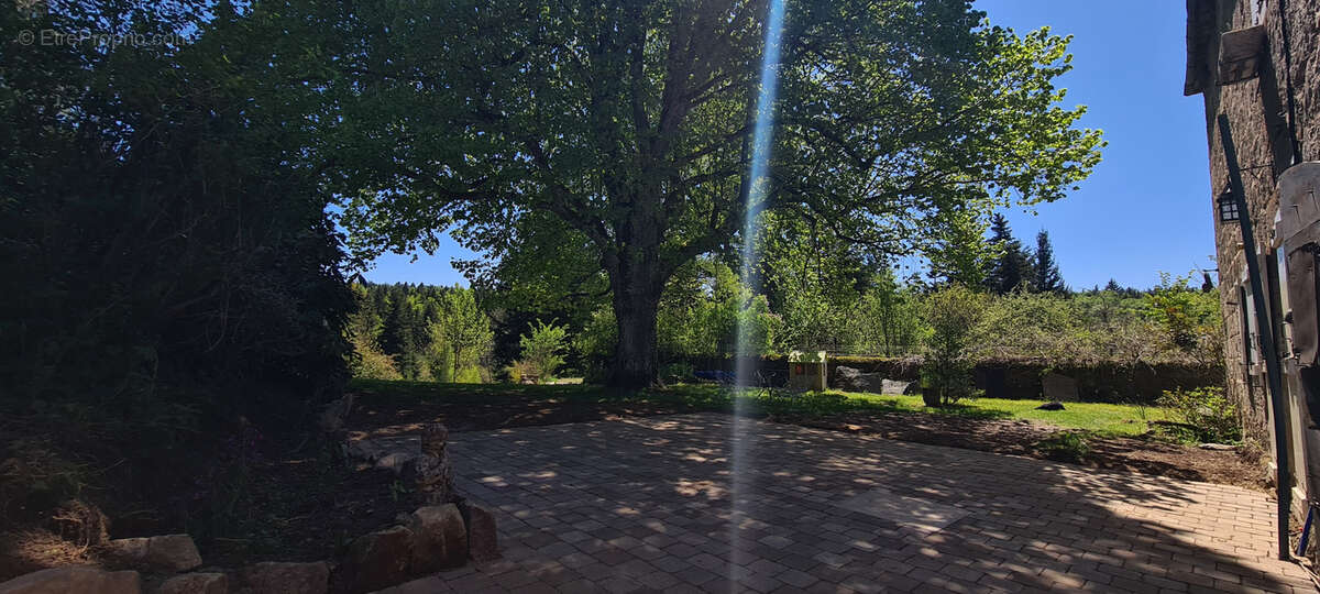 Maison à SAINT-JEURES