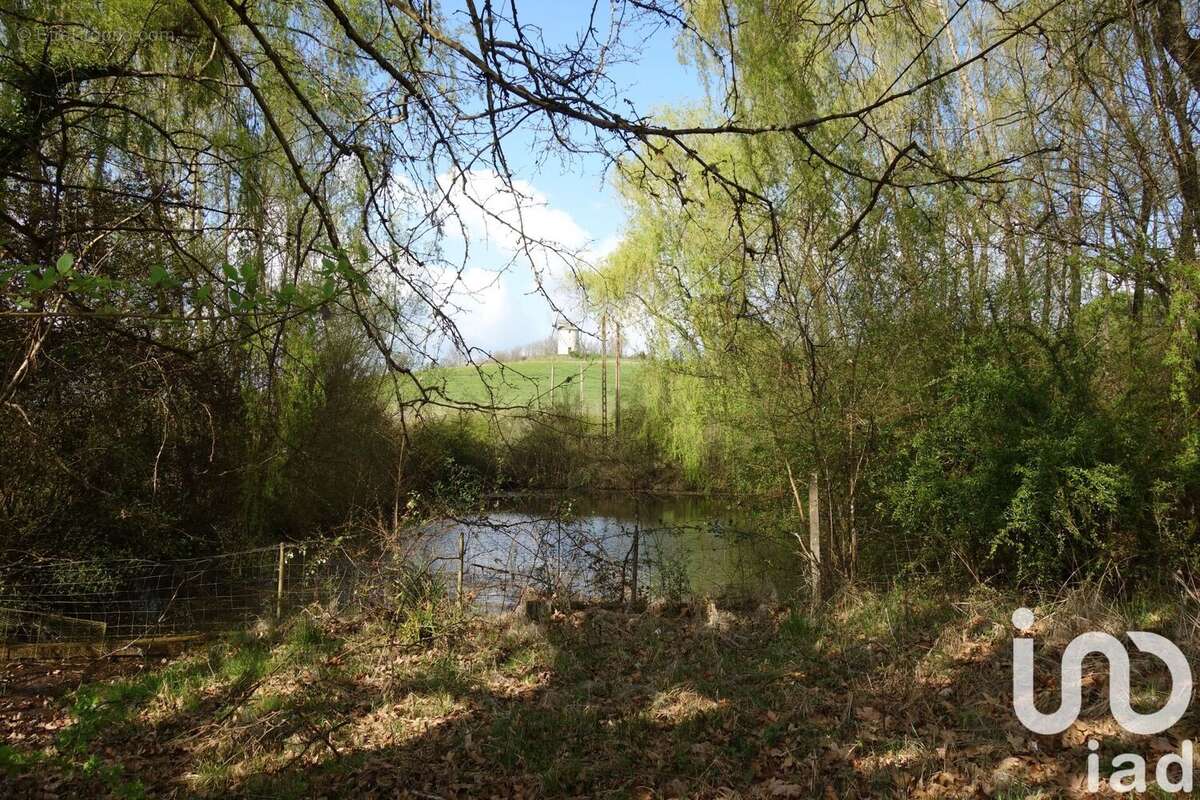 Photo 2 - Maison à PUYMIROL