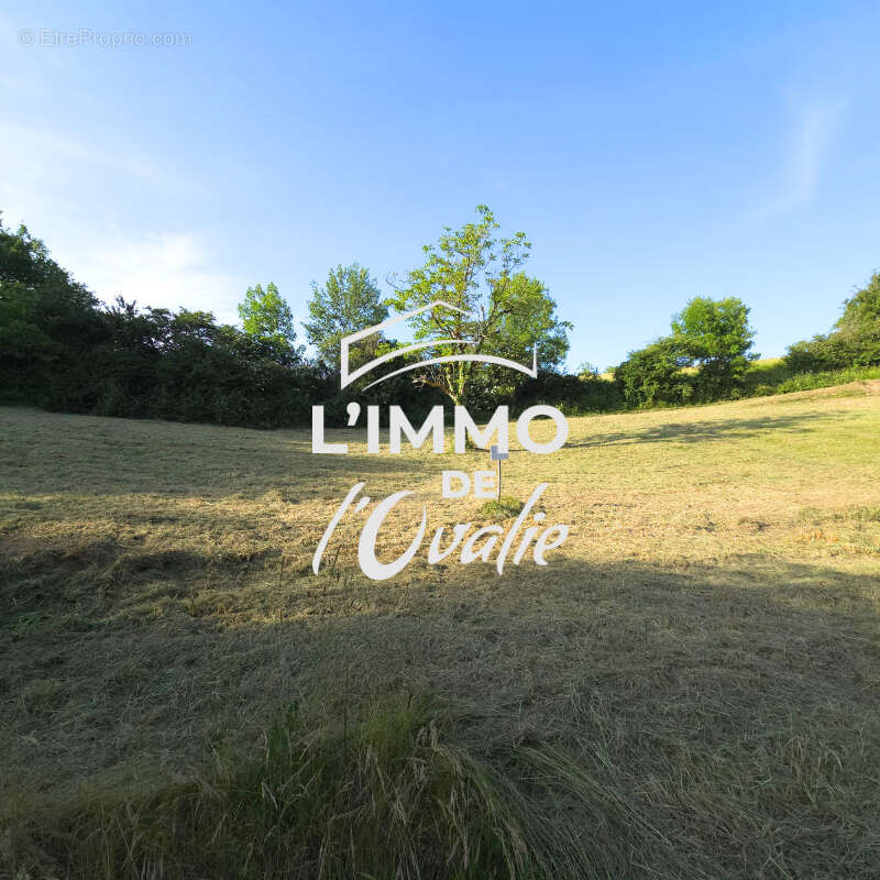 Terrain à CUREMONTE