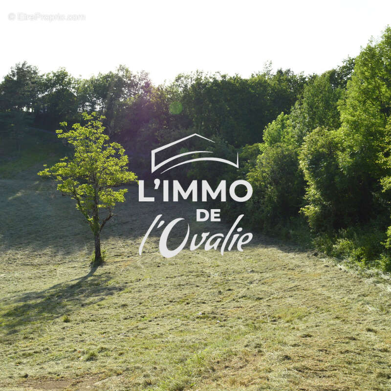 Terrain à CUREMONTE