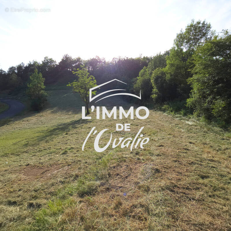 Terrain à CUREMONTE