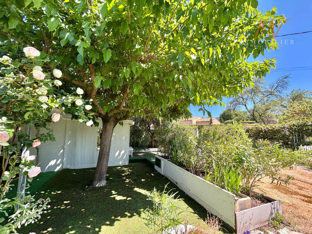 Maison à SAINT-REMY-DE-PROVENCE