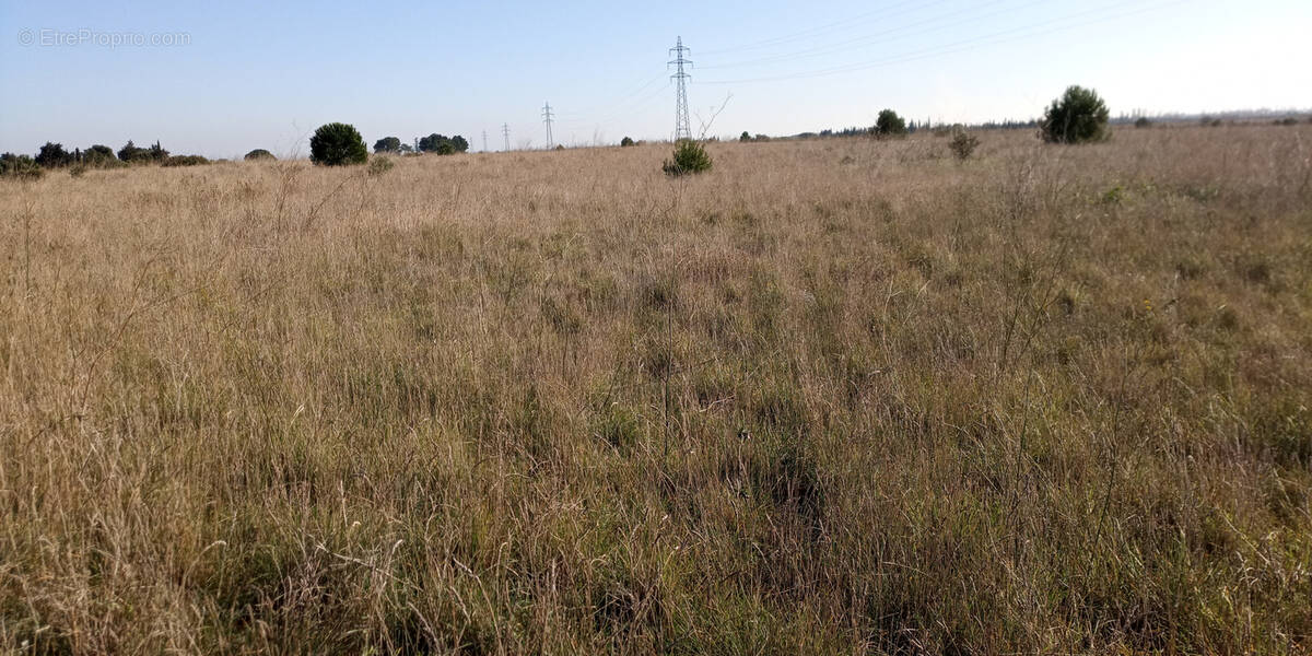 Terrain à SAINT-HIPPOLYTE