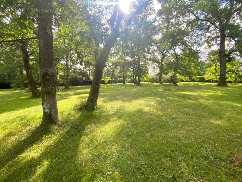 Maison à SAINT-PIERRE-DU-MONT
