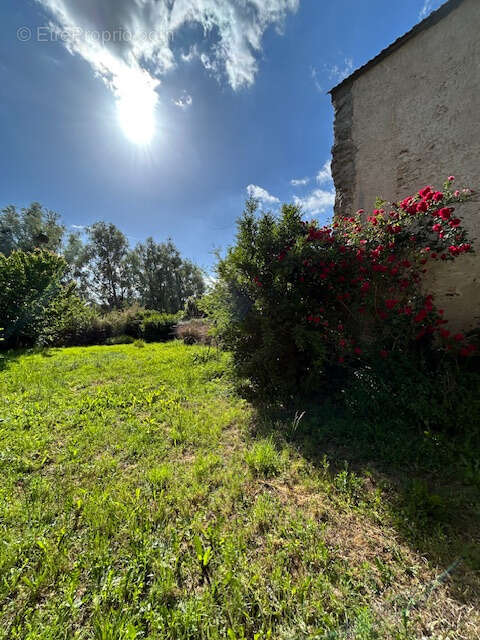 Maison à BONNY-SUR-LOIRE